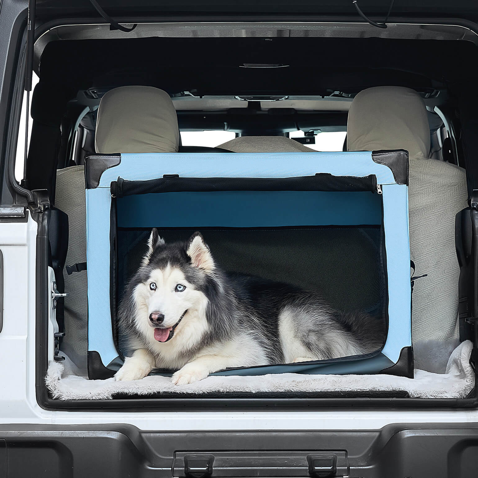 Collapsible Soft Travel Crate for Dog