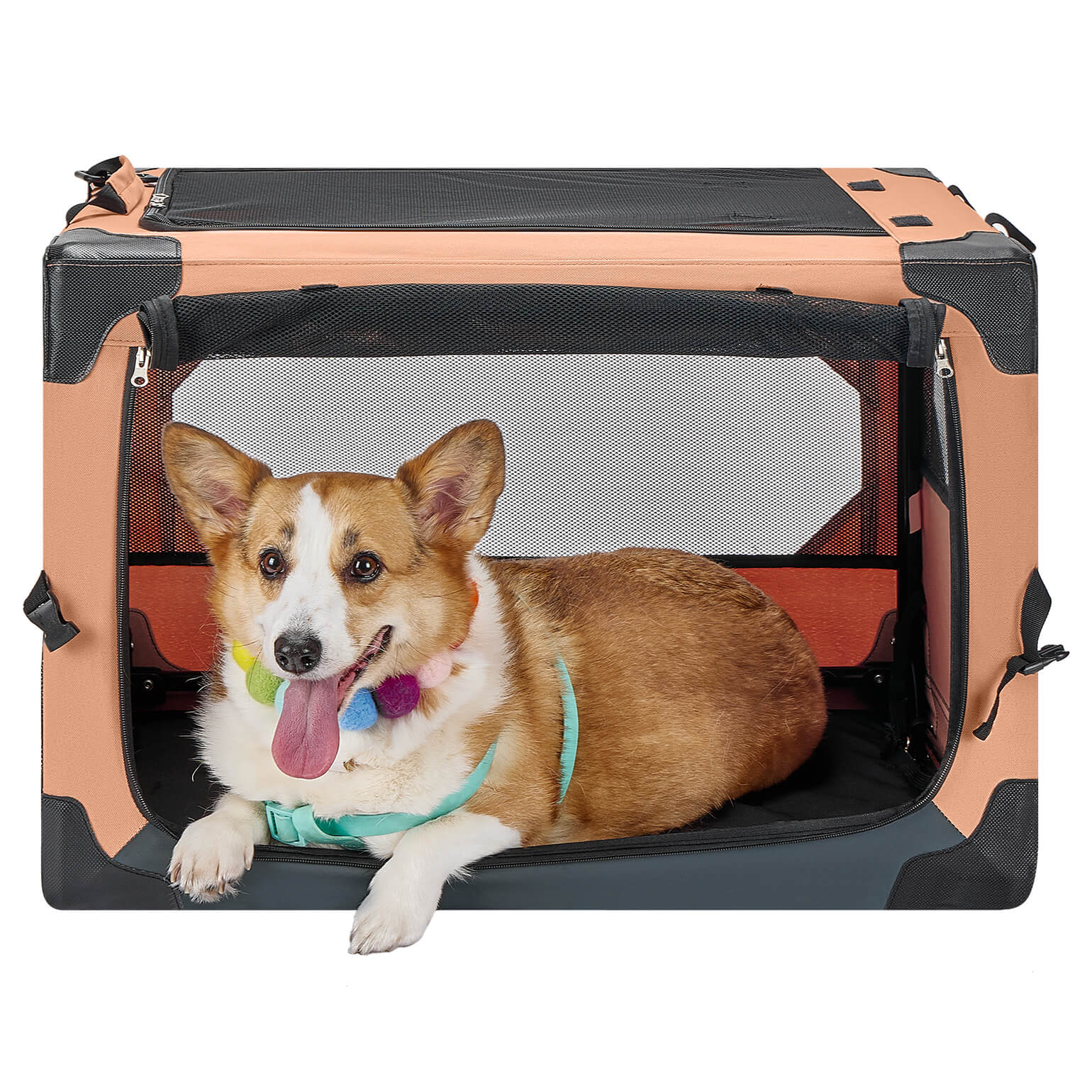 Collapsible Soft Travel Crate for Dog