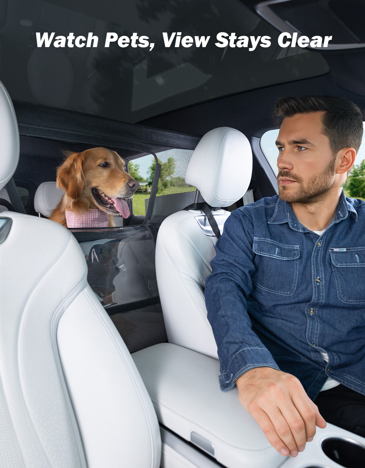 Wide Dog Car Barrier for Vehicles - Black