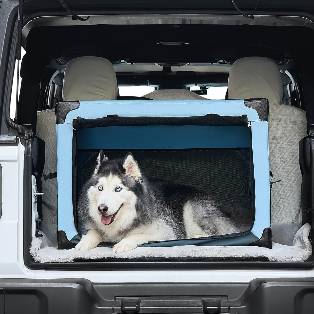 Collapsible Soft Travel Crate for Dog